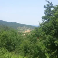 فروش زمین با قابلیت ساخت داخل بافت کاربری مسکونی|فروش زمین و ملک کلنگی|کیاسر, |دیوار