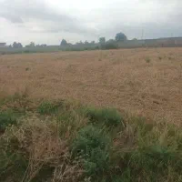 زمین کشاورزی باغی۱کیلومتری ترمینال باآب قابل معاوض|فروش زمین و ملک کلنگی|گرگان, |دیوار