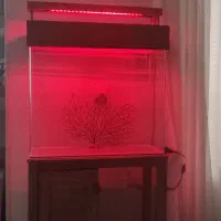 فروش اکواریوم