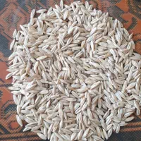 جو محلی یازدخ دم. . یک|خوردنی و آشامیدنی|خواجه, |دیوار