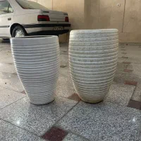 گلدان بزرگ|گل و گیاه طبیعی|تهران, دولتآباد|دیوار