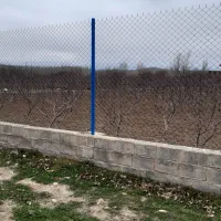 فنس کشی ساعدی