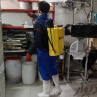 سمپاشی حشرات سوسک ساس موریانه ۱۰۰% تضمینی کل استان