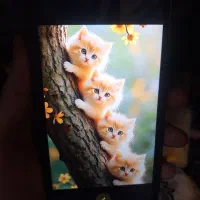 گوشی شیائومیPoco C71 حافظه داخلی 128GB و رم 6GB