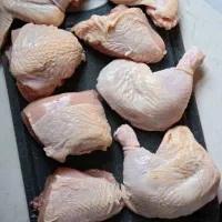 پخش مرغ تازه، قیمت مناسب + تحویل فوری