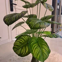 درختچه|گل مصنوعی|کیش, |دیوار