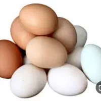 فروشی تخم مرغ