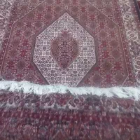 فرش بسیار خوش بافت|فرش|زنجان, |دیوار
