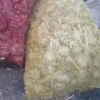سیر تند همدان|خوردنی و آشامیدنی|تهران, استخر|دیوار