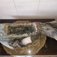 گلدان چوبی|گل و گیاه طبیعی|تهران, شهرک دانشگاه|دیوار