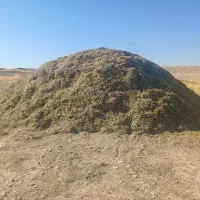 ۹۰۰ کیلو کاه و ۸۰۰ کیلو یونجه فروش فوری|حیوانات مزرعه|افشار, |دیوار