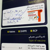 سگ تری یر زرنگ و بازی گوش دارای شناسنامه ۴/۵۰۰|سگ|مشهد, کشاورز|دیوار