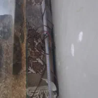 آکواریوم ۵۰سانتی