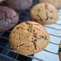 کوکی وکیک کافه ای|خوردنی و آشامیدنی|اهواز, فولادشهر|دیوار