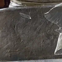 کارگر ساده
