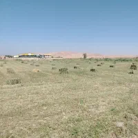 یونجه