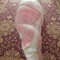 خرس شاسخین تُرک، دو متری|اسباب‌بازی بچه|تهران, سلسبیل شمالی|دیوار