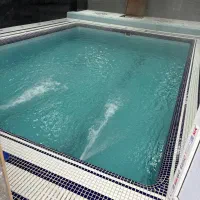 اجاره باغ ویلا استخر دار|اجارهٔ کوتاه‌مدت ویلا و باغ|رباط‌کریم, شهرستانک|دیوار