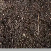 کود مرغ بوقلمون