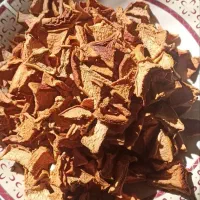 آلو اسلایسی و لواشک آلو|خوردنی و آشامیدنی|گلبهار, نوبهار|دیوار