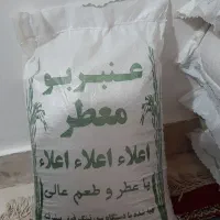 برنج عنبربو درجه یک