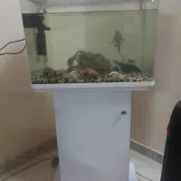 آکواریوم کامل با پایه ۵۰ سانت