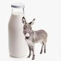 شیر خر شیر الاغ