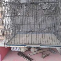 قفس|لوازم جانبی حیوانات|اهواز, حصیرآباد|دیوار