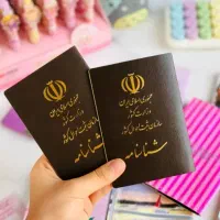 شناسنامه لوطین