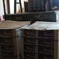 استخدام نیروی جوان و با انگیزه در بازرگانی و پخش