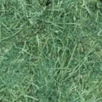 فروش یونجه پرس شده