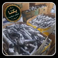 فروش عمده انواع زغال پسته و لیمو
