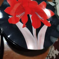 سرویس|ظروف سرو و پذیرایی|اشتهارد, |دیوار