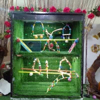 سلام قفس شیک خوشکل دوطبقه|لوازم جانبی حیوانات|مرند, |دیوار