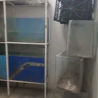 آکواریوم|ماهی|مشهد, مشکینی (شهرک غرب)|دیوار