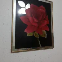 تعدادی قاب با قیمت عالی بفروش میرسد|تابلو، نقاشی، عکس|خمینیشهر, |دیوار