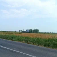 فروش-زمین-شالیزار