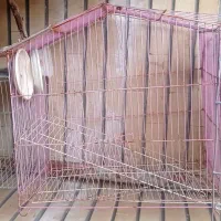 لوازم جانبی پرنده