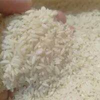 برنج ایرانی، بی واسطه از شالیکار بخرید|خوردنی و آشامیدنی|مشهد, عبادی|دیوار