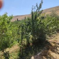 فروش باغ ویلایی دراسکو|فروش زمین و ملک کلنگی|اسکو, |دیوار