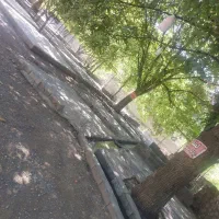 اجاره باغ وسوییت|اجارهٔ کوتاه‌مدت ویلا و باغ|بیستون, |دیوار