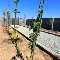 باغچه*چسب انشعابات *خرید از مالک|فروش زمین و ملک کلنگی|اسلامشهر, شهرک احمدیه|دیوار