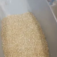 کود دی آمینیوم اصل