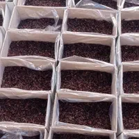 فروش کشمش خوراکی و آبگیری|خوردنی و آشامیدنی|کرمان, |دیوار