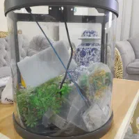 آکواریوم کاملا نو