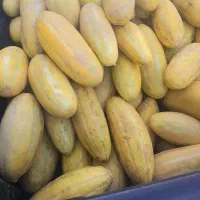 خربزه جعفر خان