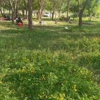 سمعک گم شده