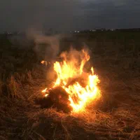 فروش شالیزار 900 متری عینک|فروش زمین و ملک کلنگی|رشت, نخودچر|دیوار