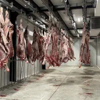 بازاریاب گوشت|استخدام بازاریابی و فروش|ری, علایین|دیوار