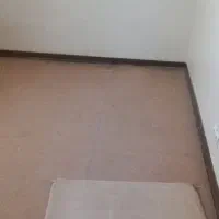 دو عدد موکت ۱۲ متری